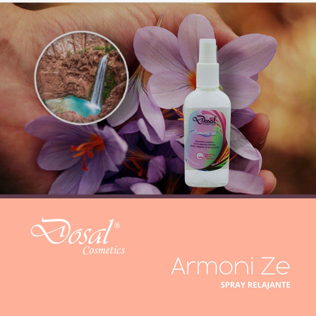 Armoni Ze